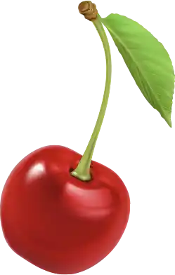 cherry_img