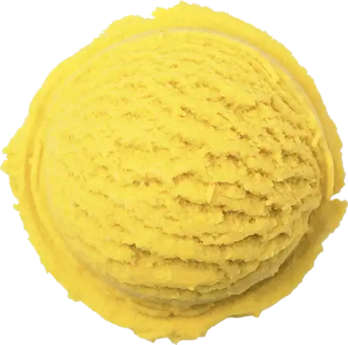 ice_vector