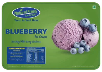 Blueberry Icecream